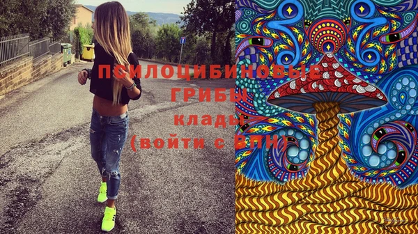 крисы Богданович