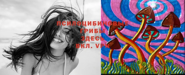 мдма Богородицк