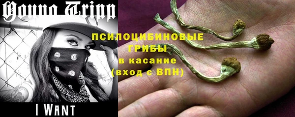 мдма Богородицк