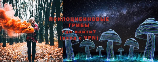 мдма Богородицк