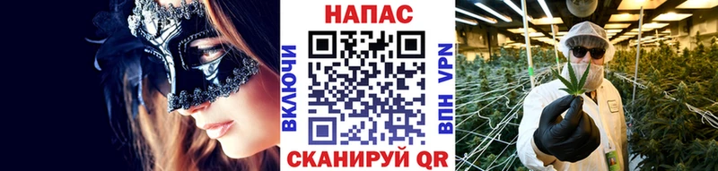 Канабис OG Kush Бахчисарай